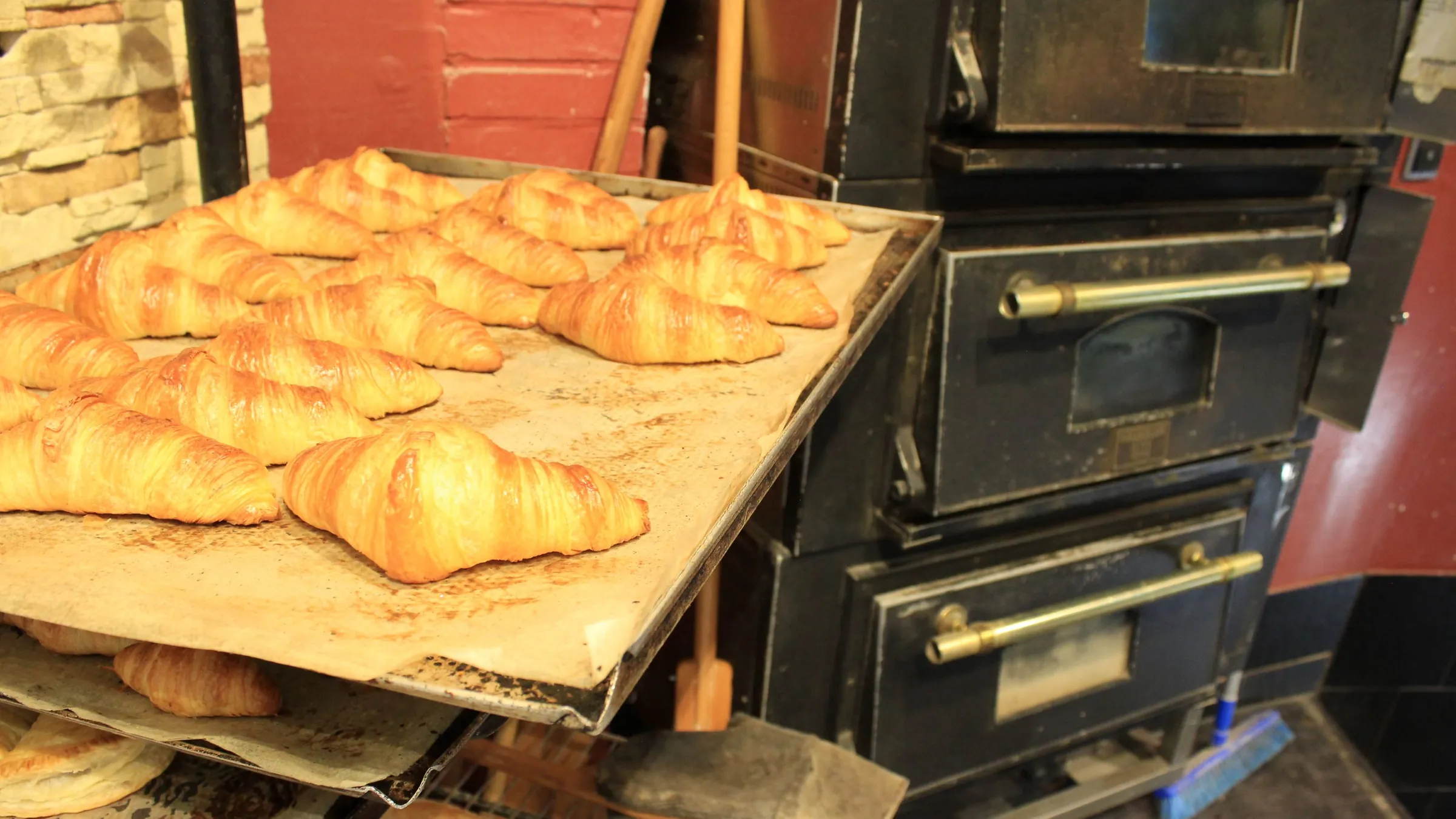 Croissants auf dem Blech vor dem Ofen